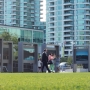 Daytime photo of Harbourfront Centre Exhibition Common. Photo credit: Riley Wallace.
